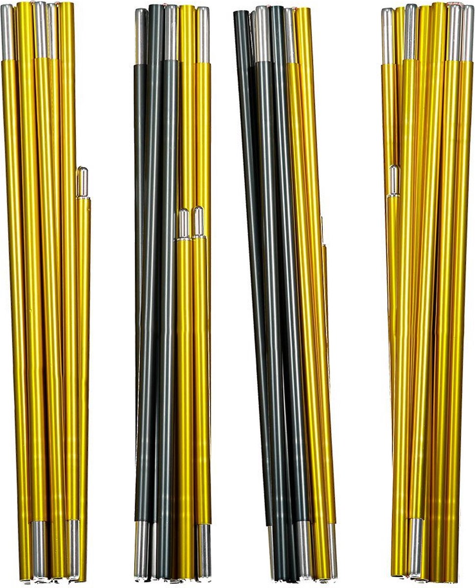 Bâton Salewa Litetrek Pro II 5617