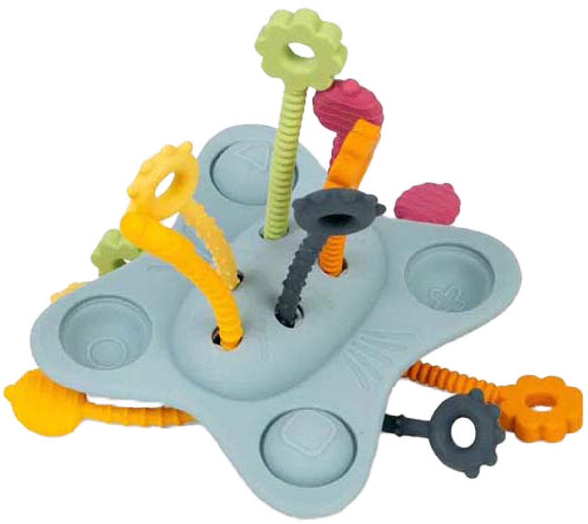 Bigjigs Pull and Push Montessori Toys