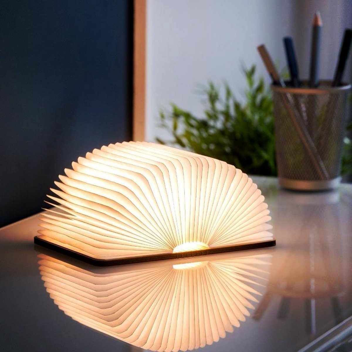 Mikamax mm - LED Book Light