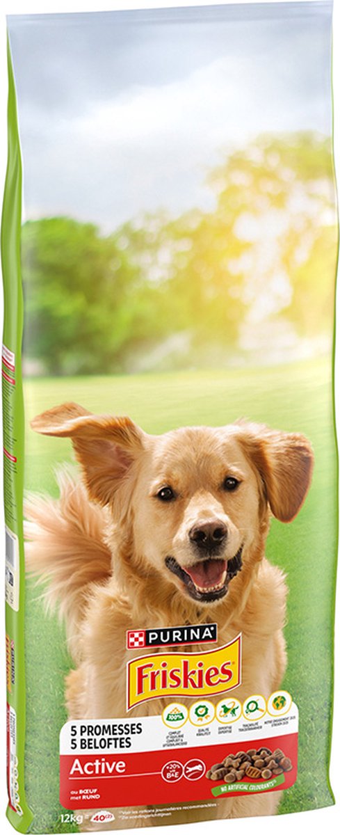 PURINA Friskies Adult Active con Manzo - 12 kg