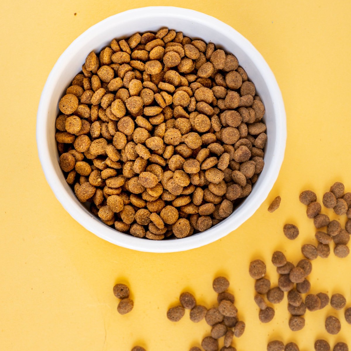 Nature's Variety No Grain Kitten Pollo allevato a terra - Set %: 2 x 7 kg