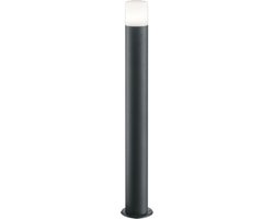 Palo luminoso piantana 80 cm Hoosic Trio