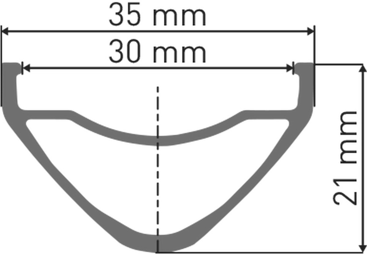 DT Swiss Laufrad FR 1500 Classic 29" 622 x 30 mm Schwarz - robustes Enduro/Downhill Hinterrad