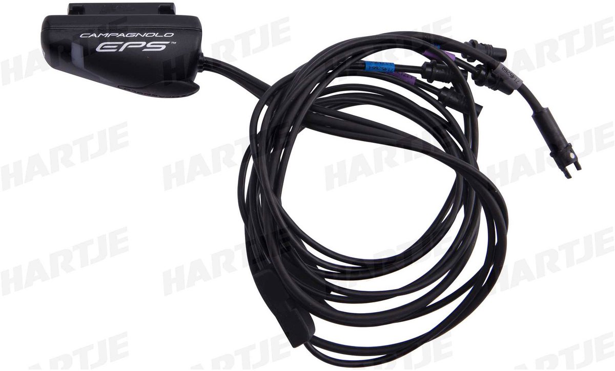 Campagnolo EPS V4 Interface/Schnittstelle SuperRec. IF19-12EPS,12-f,extern,inkl.Verkabelung