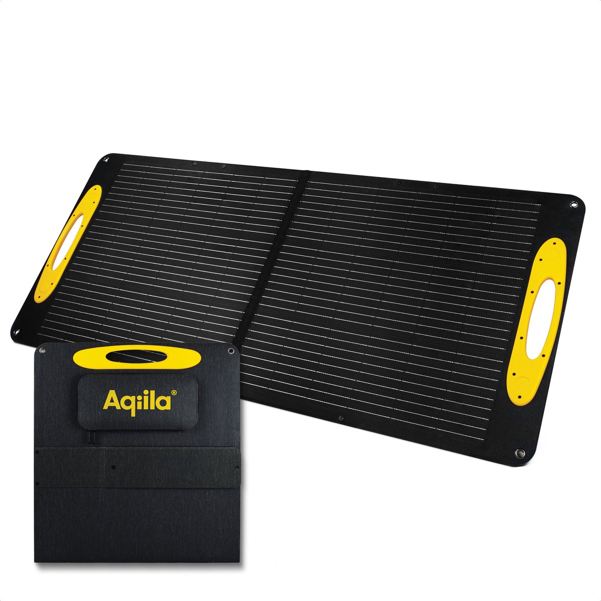 Aqiila Sunbird P100, 100W