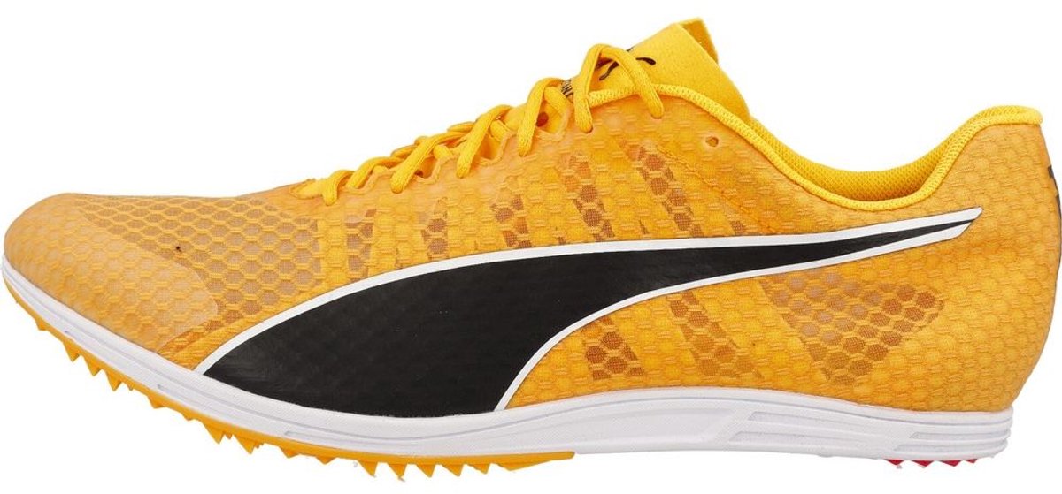 Athletic shoes Puma Evospeed Distance 11