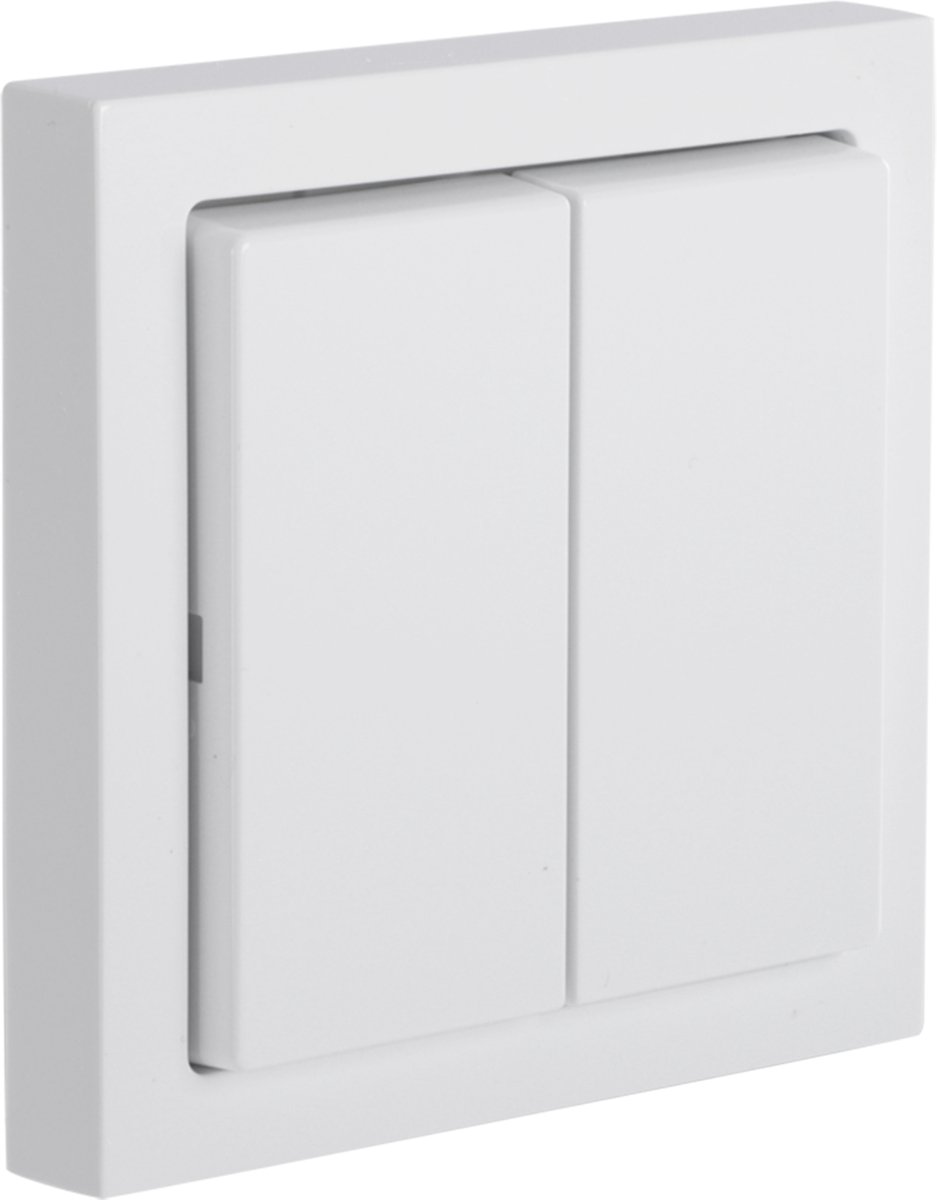 Busch-Jaeger 2CKA006710A0010 1 pc(s)