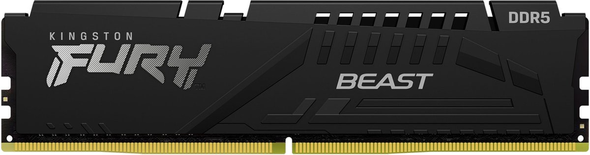 Kingston Technology FURY Beast módulo de memoria 32 GB 1 x 32 GB DDR5