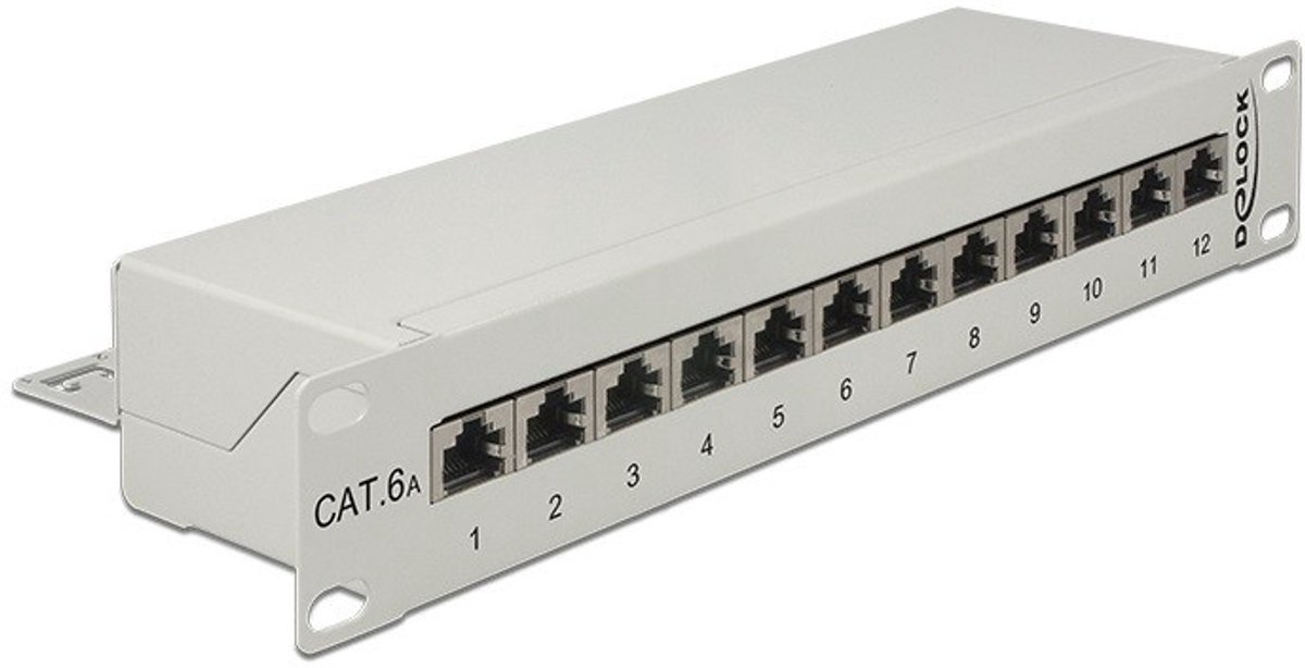 Delock 43308 Panneau de brassage 254 mm (10) CAT 6a 1 UH gris équipé