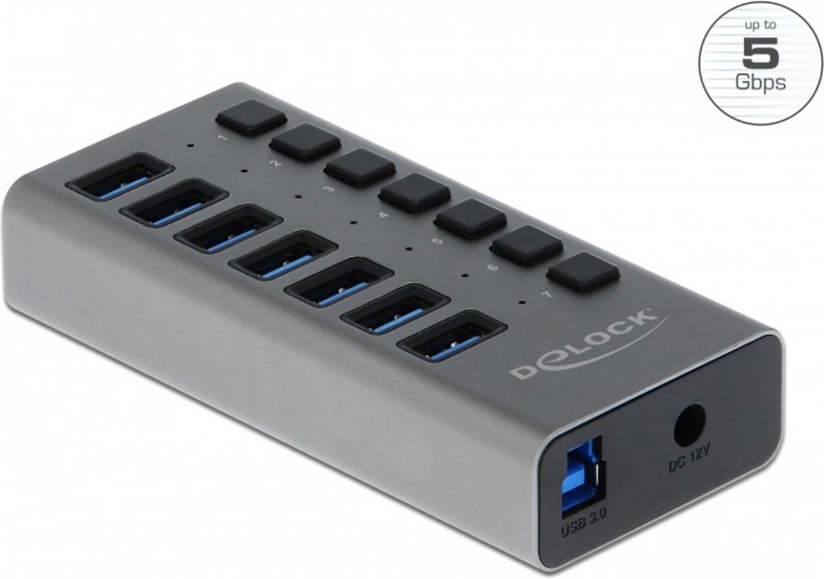 Delock 63669 Hub USB 7 ports USB-A USB 3.2 Gen1 5 GBit/s gris 63669