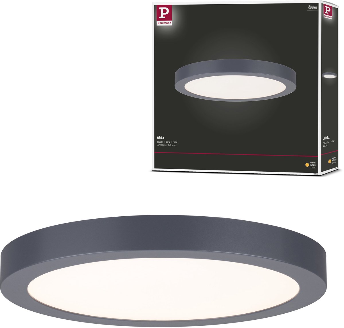 Paulmann 70988 Panel Abia Panneau à LED LED LED intégrée 22 W gris foncé