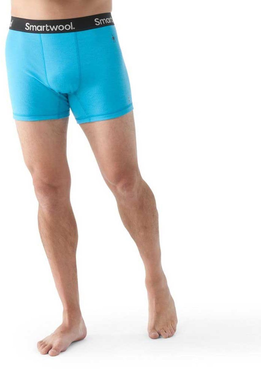 Merinounterhosen Smartwool Active