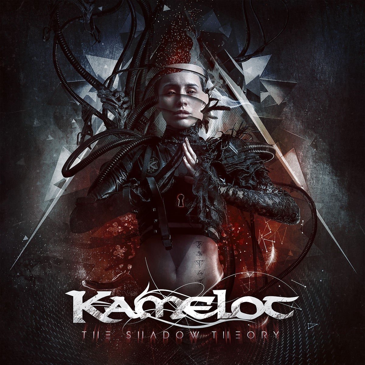 The Shadow Theory (2 LPs Schwarz) [Vinyl LP]