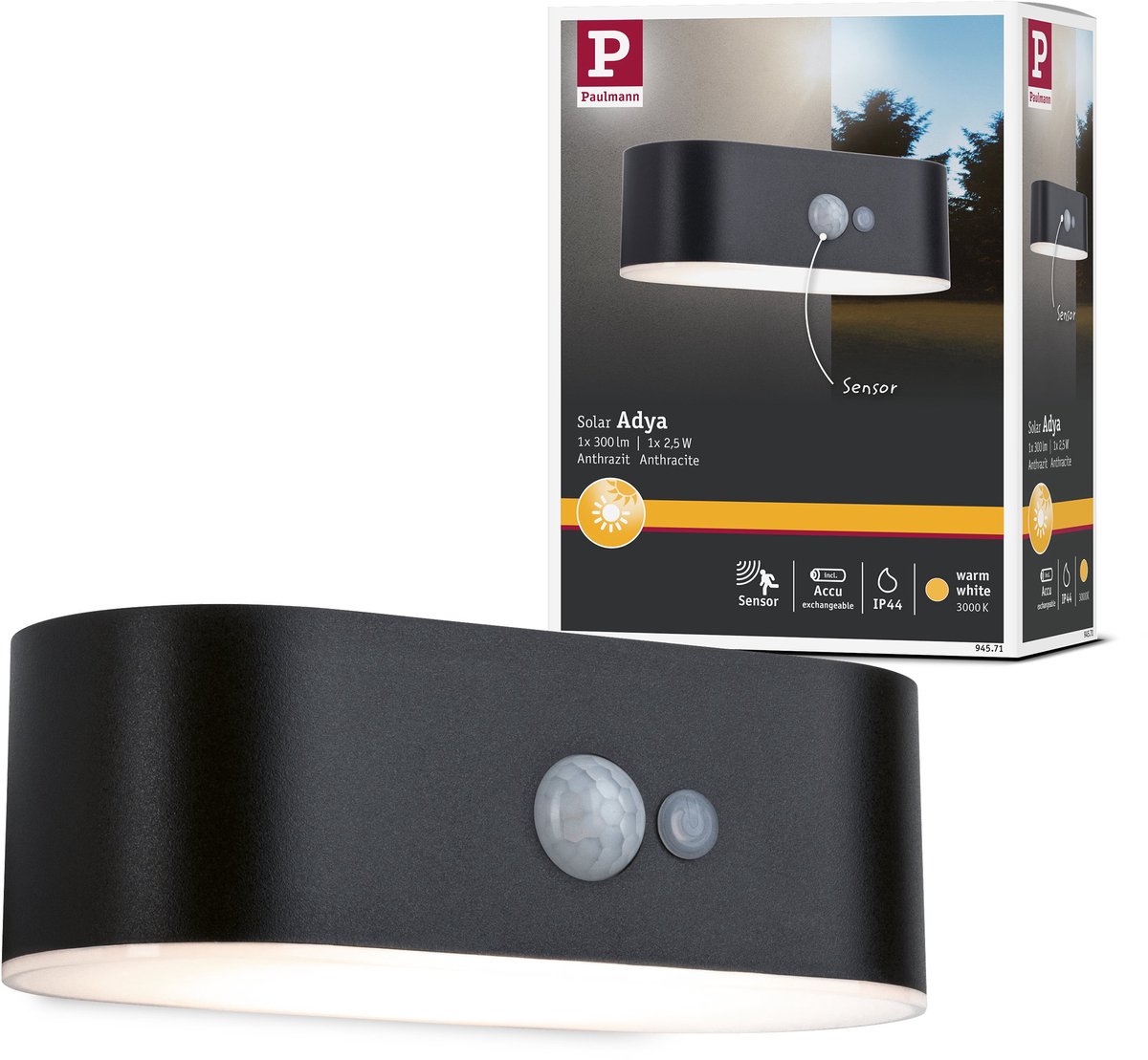 Paulmann 94571 Ayda Applique solaire 5.5 W blanc chaud noir