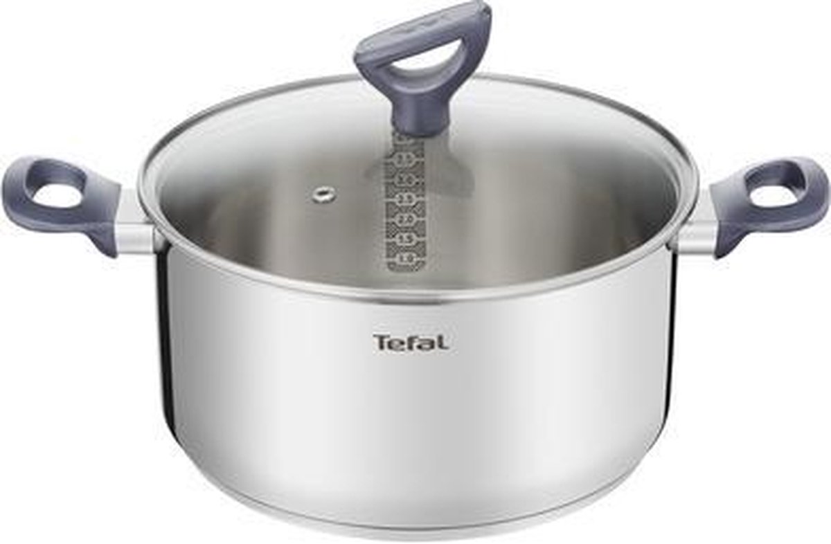 Tefal Daily Cook Stewpot 20 cm/3 l. w. glass lid