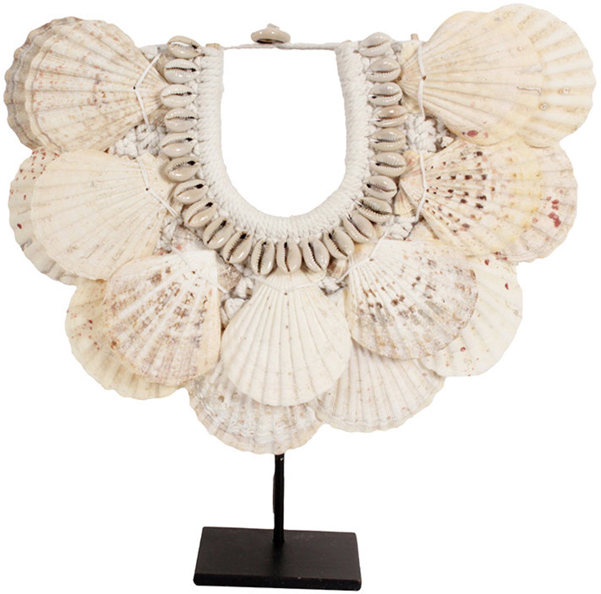 Muschelkette Pole To Pole