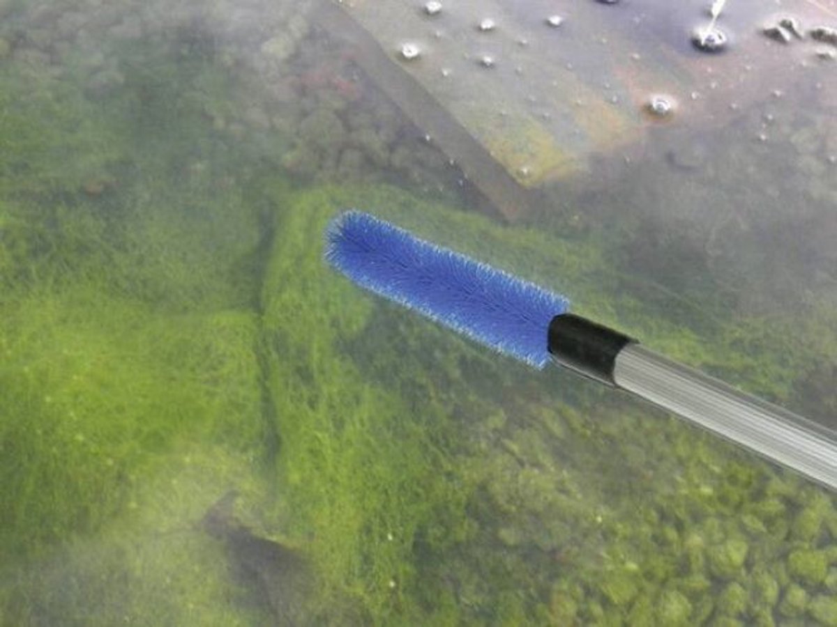 FIAP 2363 AlgaeBrush Active Algebørste 1 stk