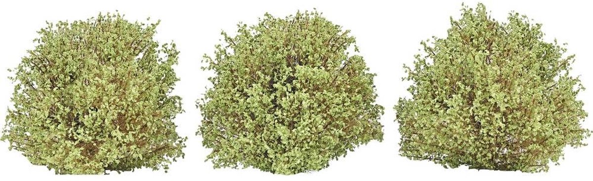 Busch 3606 Busk Forår 40 mm