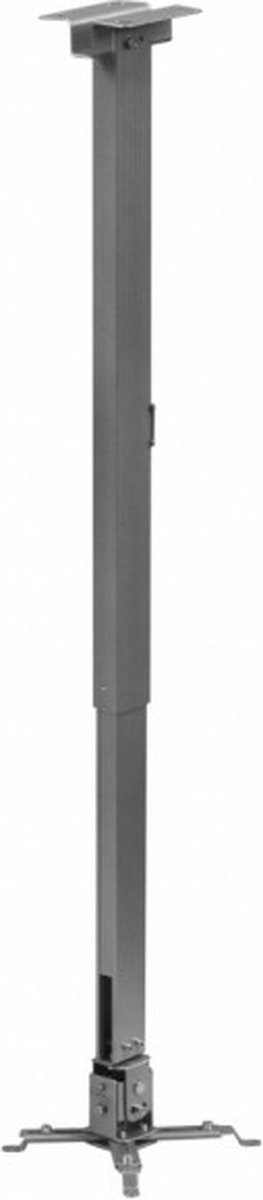 Reflecta Tapa Projektor-loftholder Gulv-/loftafstand (max.): 120 cm Sølv