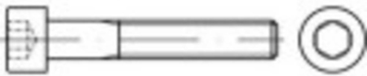 TOOLCRAFT TO-5423376 Cylinderskruer M3 6 mm Indvendig sekskant 100 stk