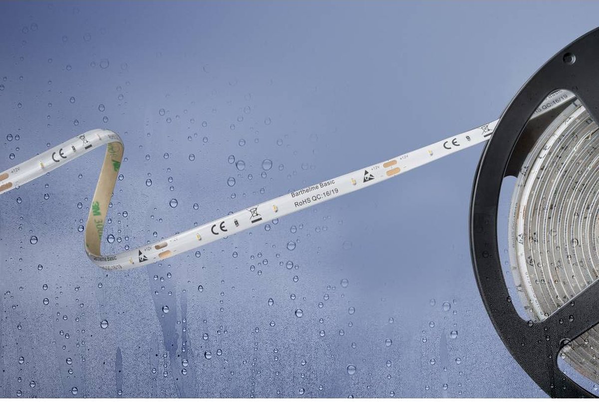 Barthelme 51540434 51540434 Striscia LED con estremità libera 12 V 5 m Bianco freddo 1 pz.