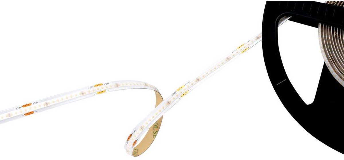 Barthelme 51542730 Striscia LED con collegamento a saldare 24 V/DC 5000 mm Bianco 5 m
