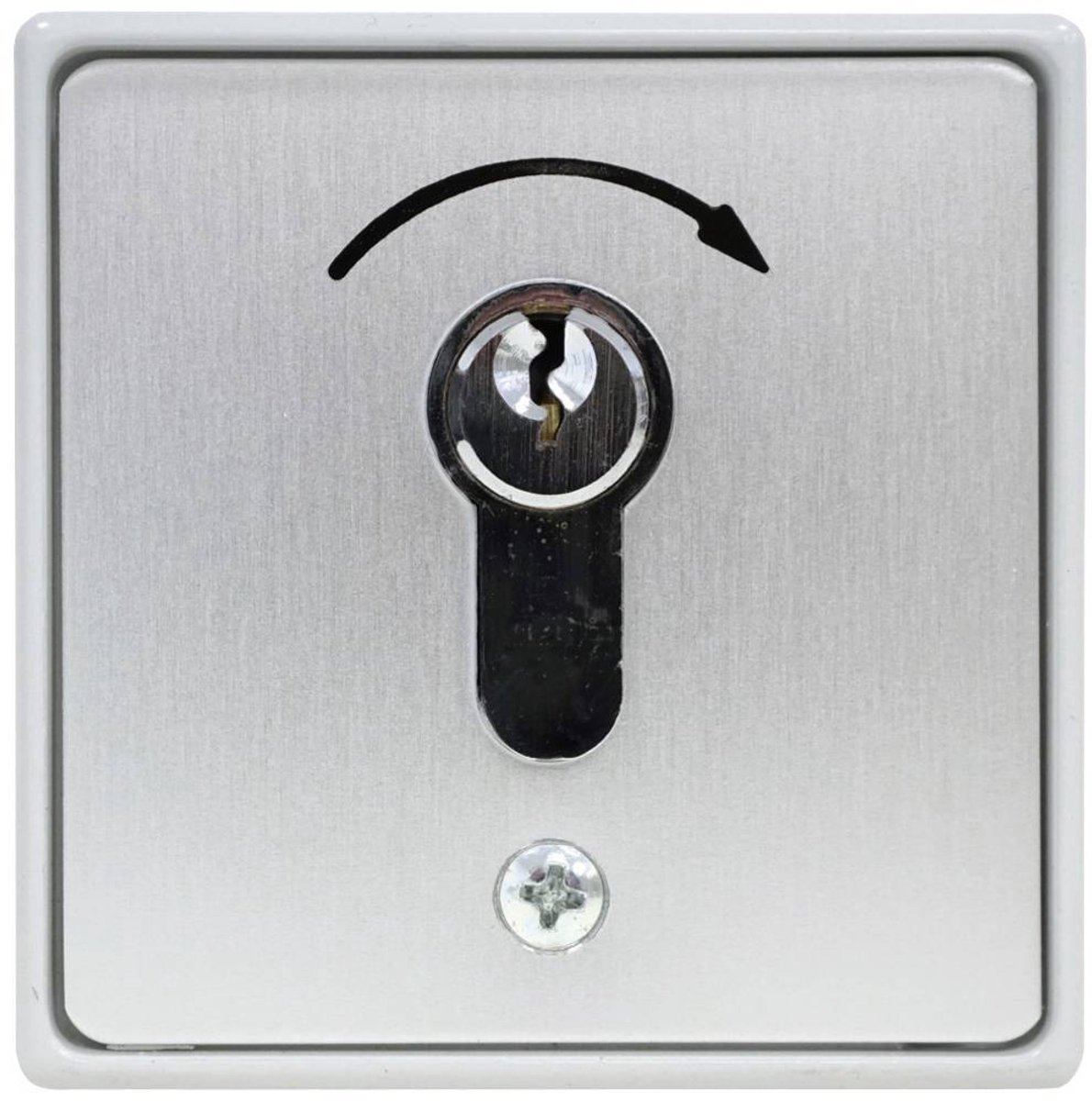 Kaiser Nienhaus 322700 Pulsante a chiave per apricancelli Da incasso