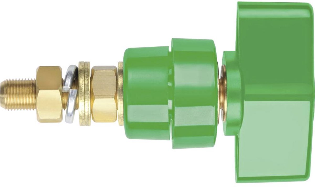 Schützinger Morsetto serrafilo Verde 100 A 1 pz. Pezzo