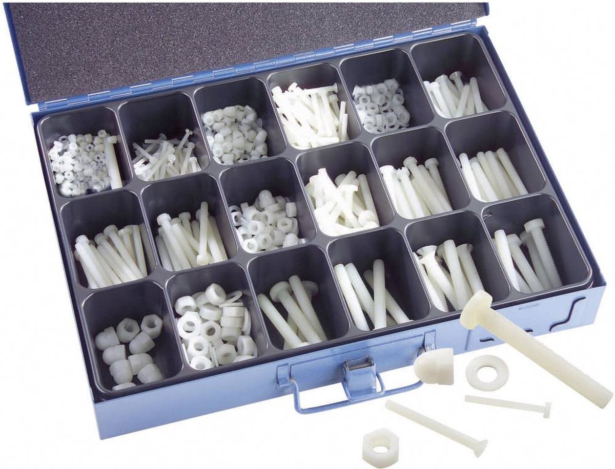 16900 Assortimento di viti in plastica 1005 Parti