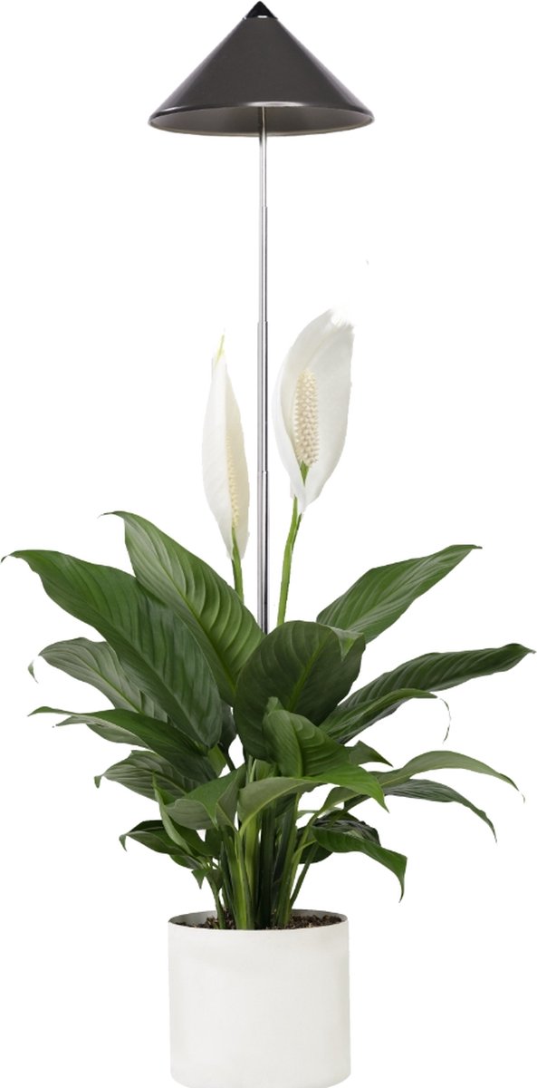 Venso LED-plantelampe SUNLiTE LED indbygget 7 W Neutralhvid 1 stk
