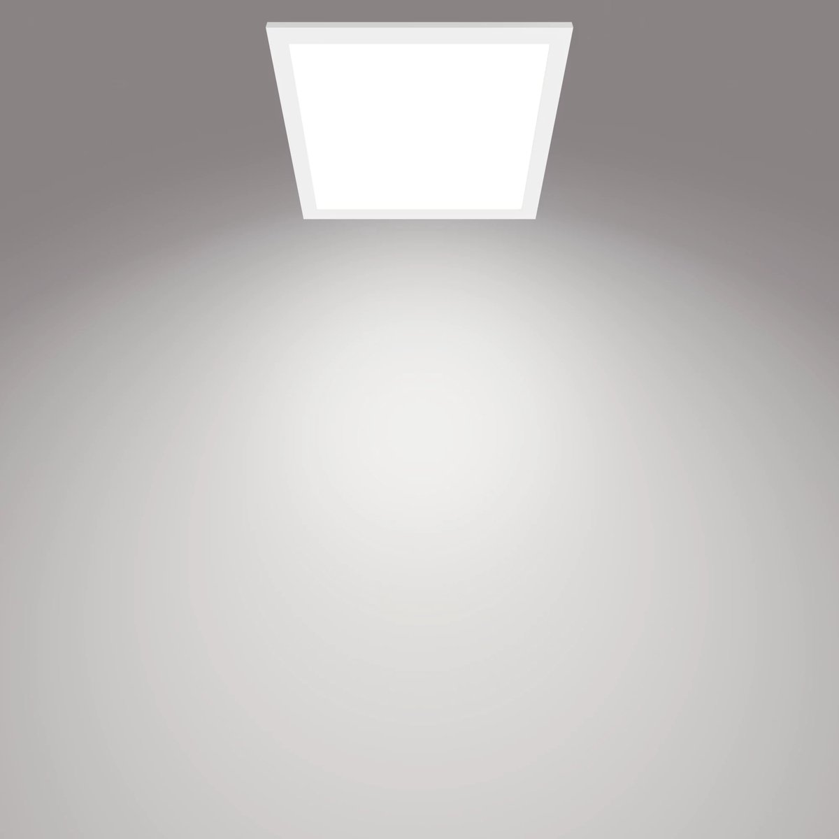 Philips Panel ceiling CL560 SS SQ 12W 40K W HV06