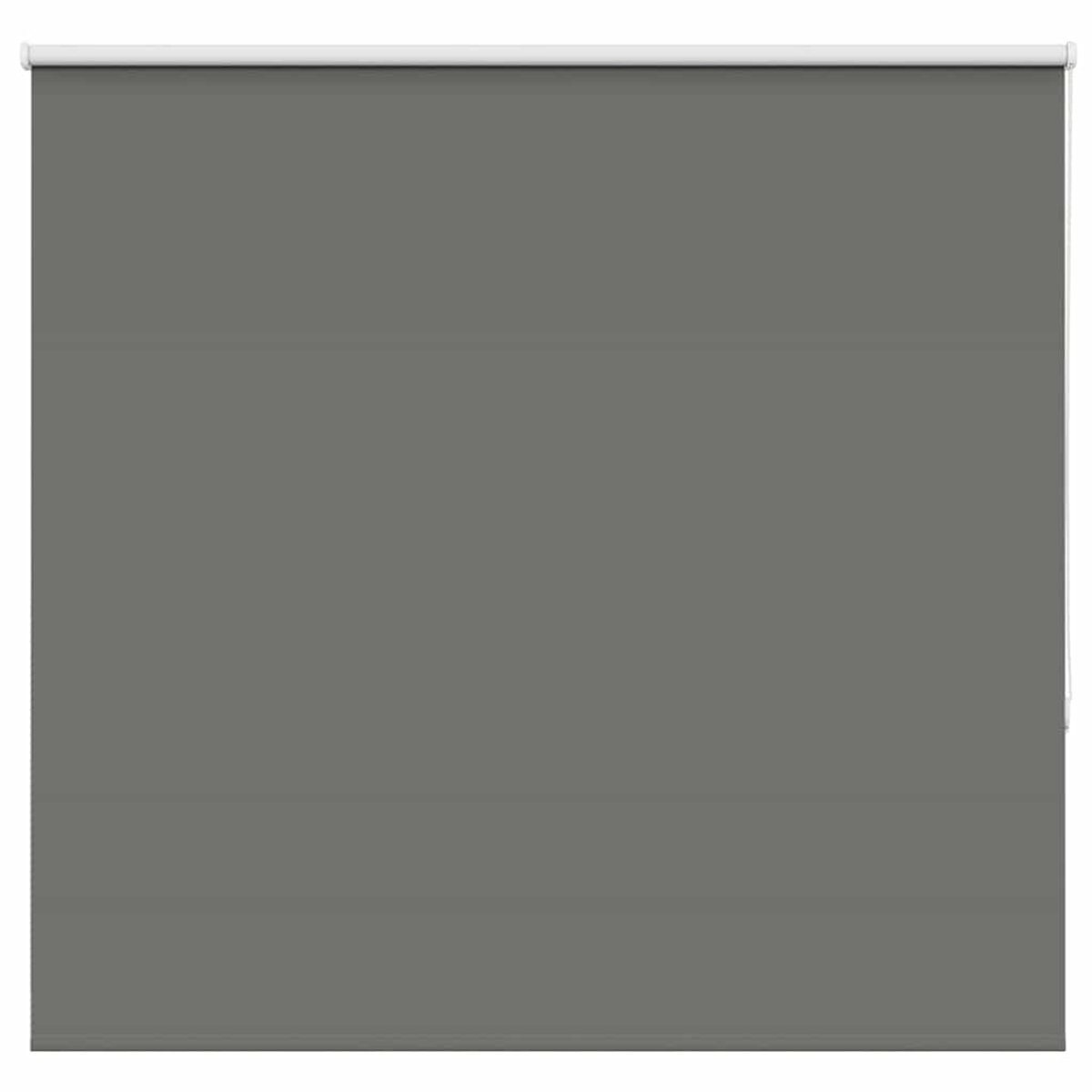 Verdunkelungsrollo Grau 150x150 cm Stoffbreite 146,6 cm Polyester