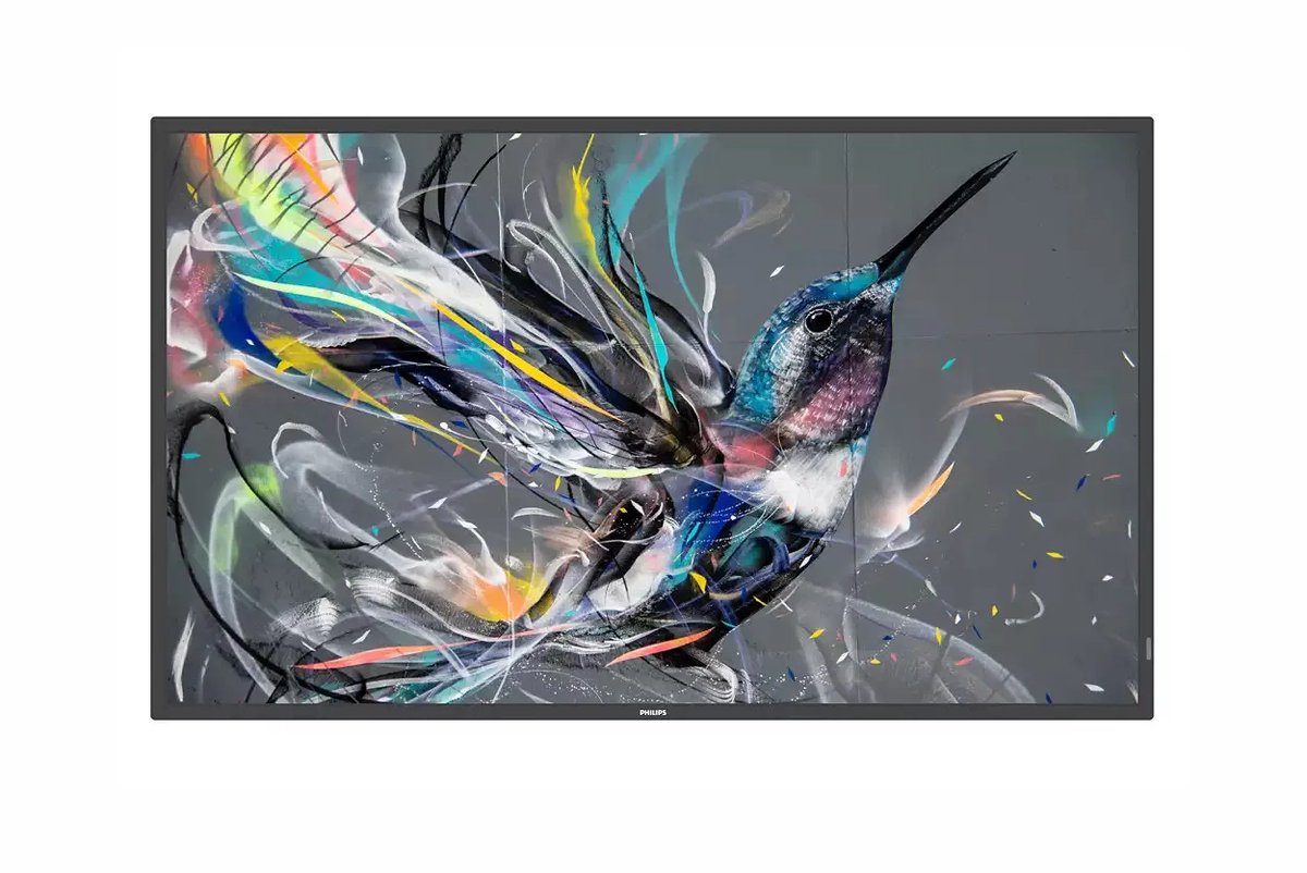 Philips 65BDL3650QE Q-Line - 65" Class (64.5" viewable) LED-backlit LCD display - 4K - for digital signage
