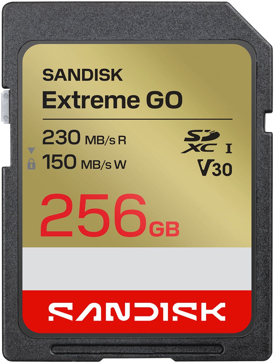 SanDisk Extreme GO Scheda microSDXC 256 GB UHS-I U3 Resistente alle alte temperature