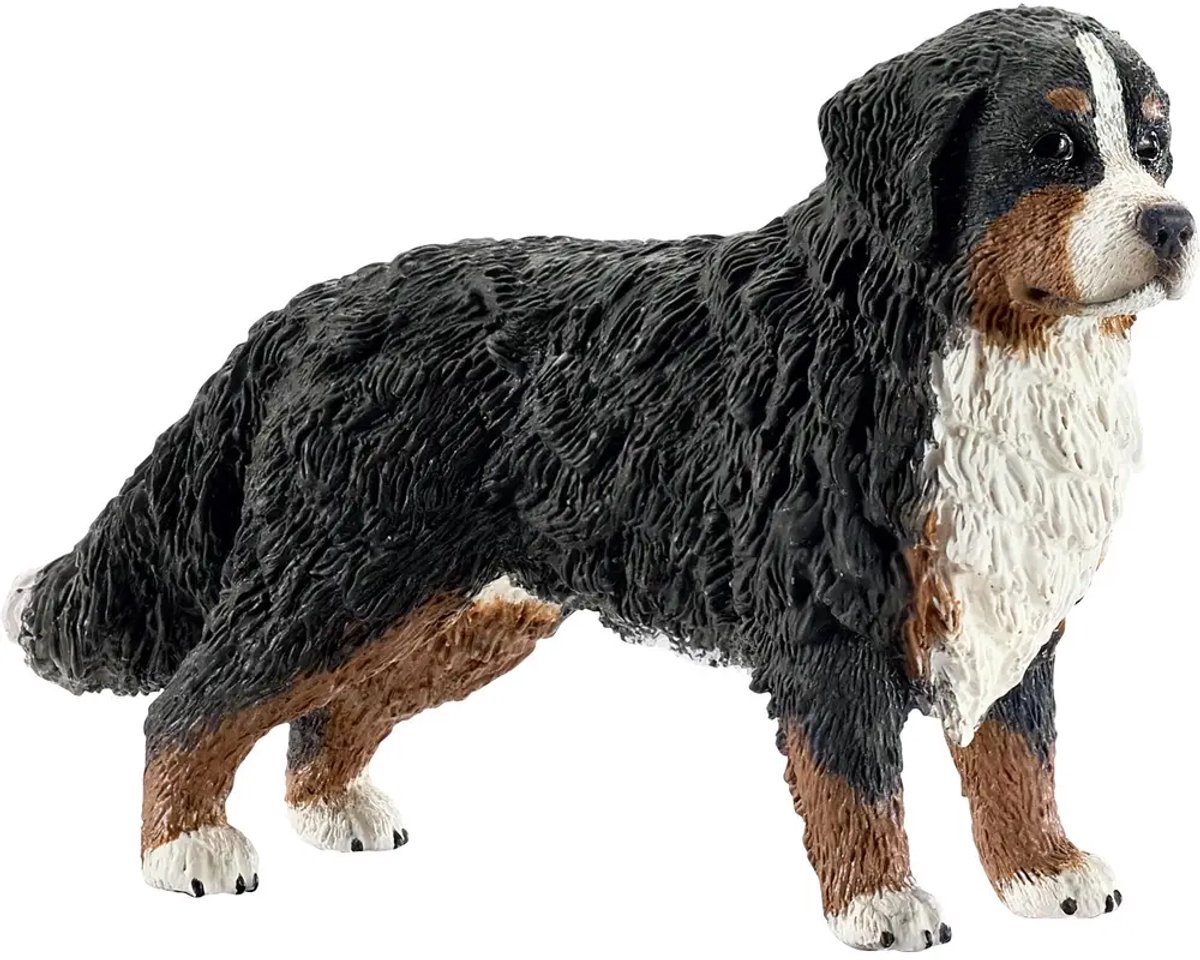 Schleich Berner sennenhund tik