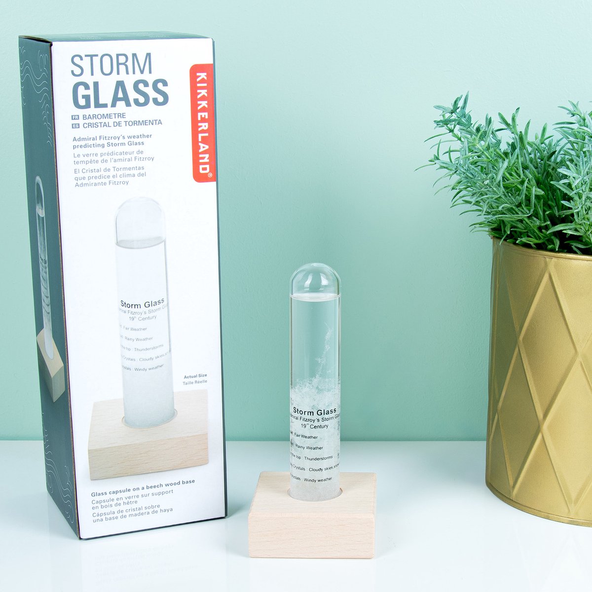 Kikkerland - Storm Glass Tube With Beechwood Base (ST71)