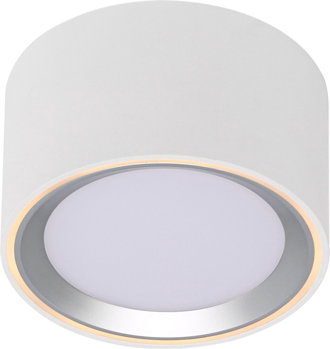 Nordlux Fallon LED-utomhusbelysning tak LED LED fast installerad 5.5 W Varmvit Vit, Rostfritt stål (borstat)