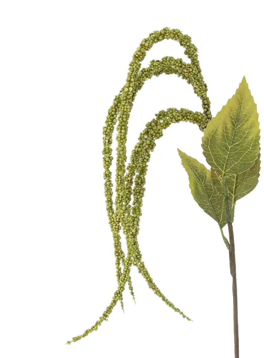 Bloomingville Foxtail