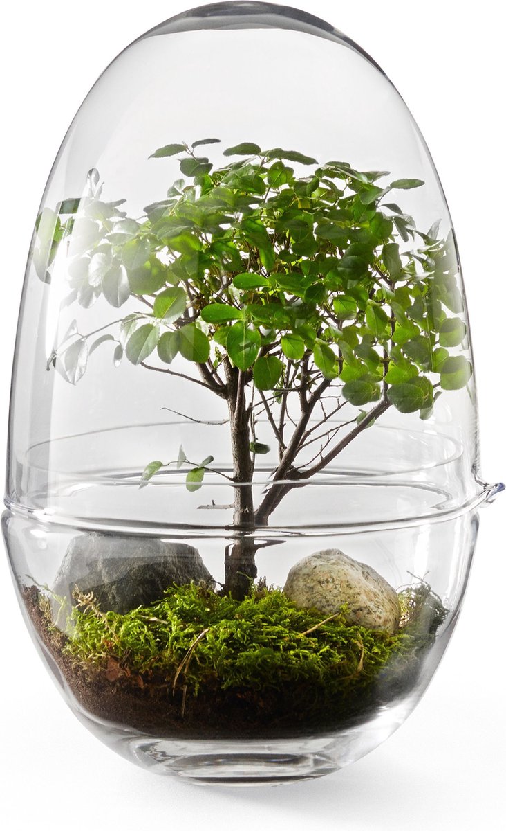Design House Stockholm Invernadero Grow x-large Ø20 cm