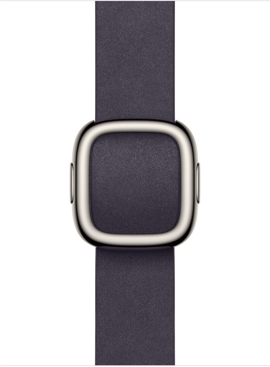 Apple 42mm Midnight Purple Modern Buckle - Large
