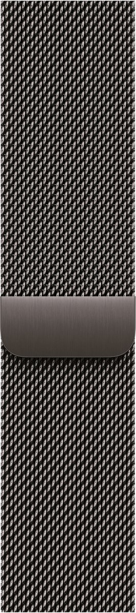 Apple MGHX4ZM/A smart wearable accessory Band Slate colour Stainless steel