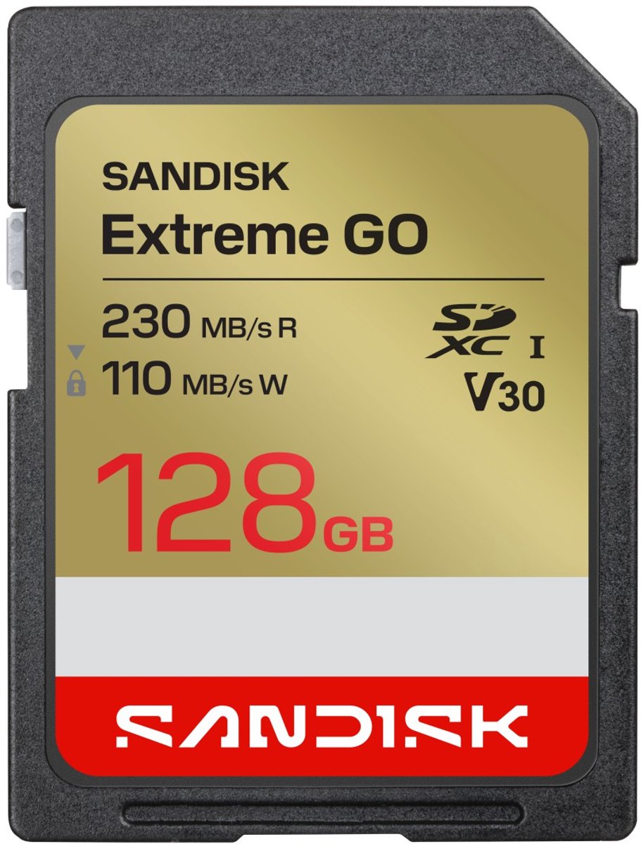 SanDisk Extreme GO 128 GB SDXC UHS-I