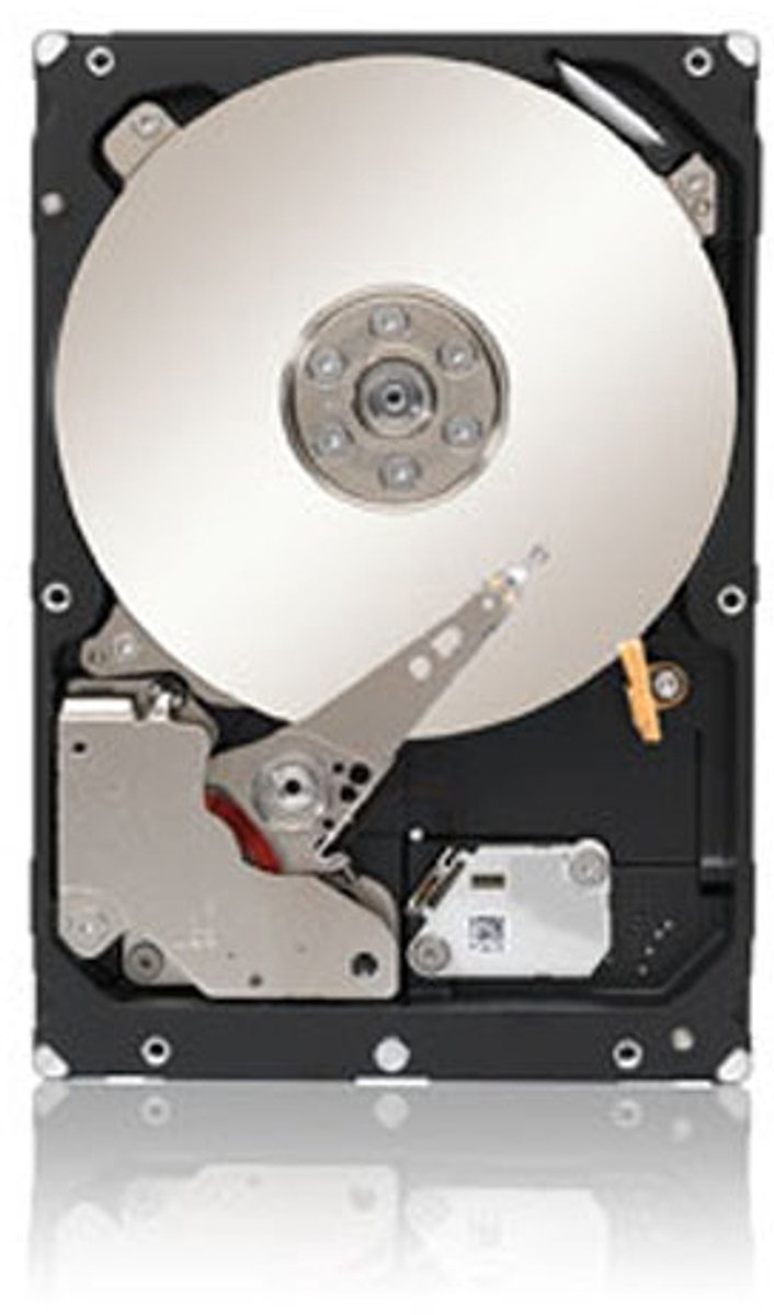 Lenovo 300GB 10K 6Gb/s SAS 2.5" internal hard drive 10000 RPM 2.5