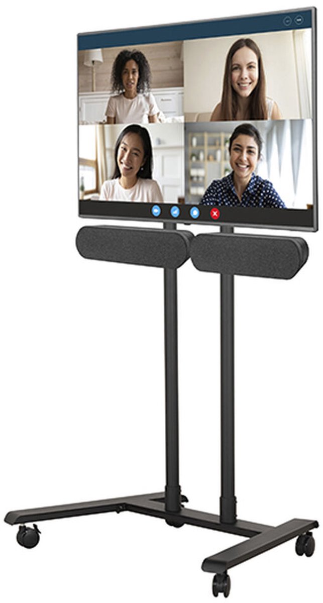 B-Tech Mounting Plate for Dual Logitech Rally Plus Speakers
