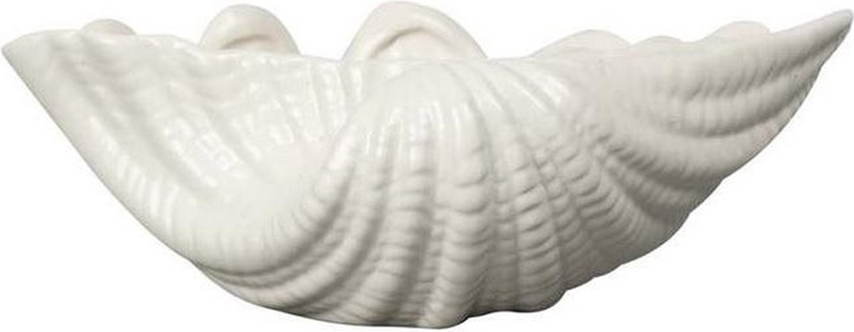 Byon Shell Bol 16 x 23 cm