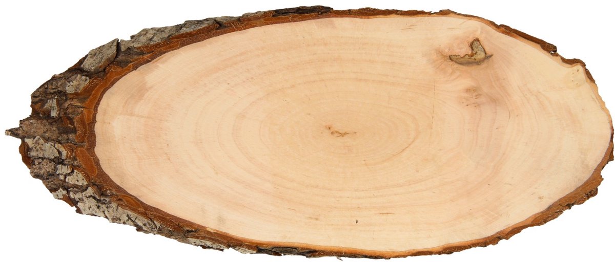 Playwood - Make your own Nameplate Tree Bark 30 cm