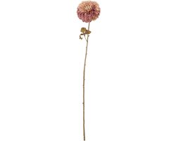 Bloomingville Chrysantemum