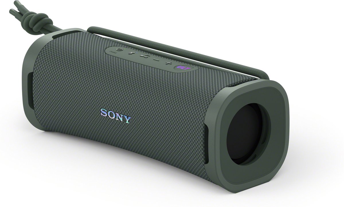 Sony ULT FIELD 1 - Forest Grey