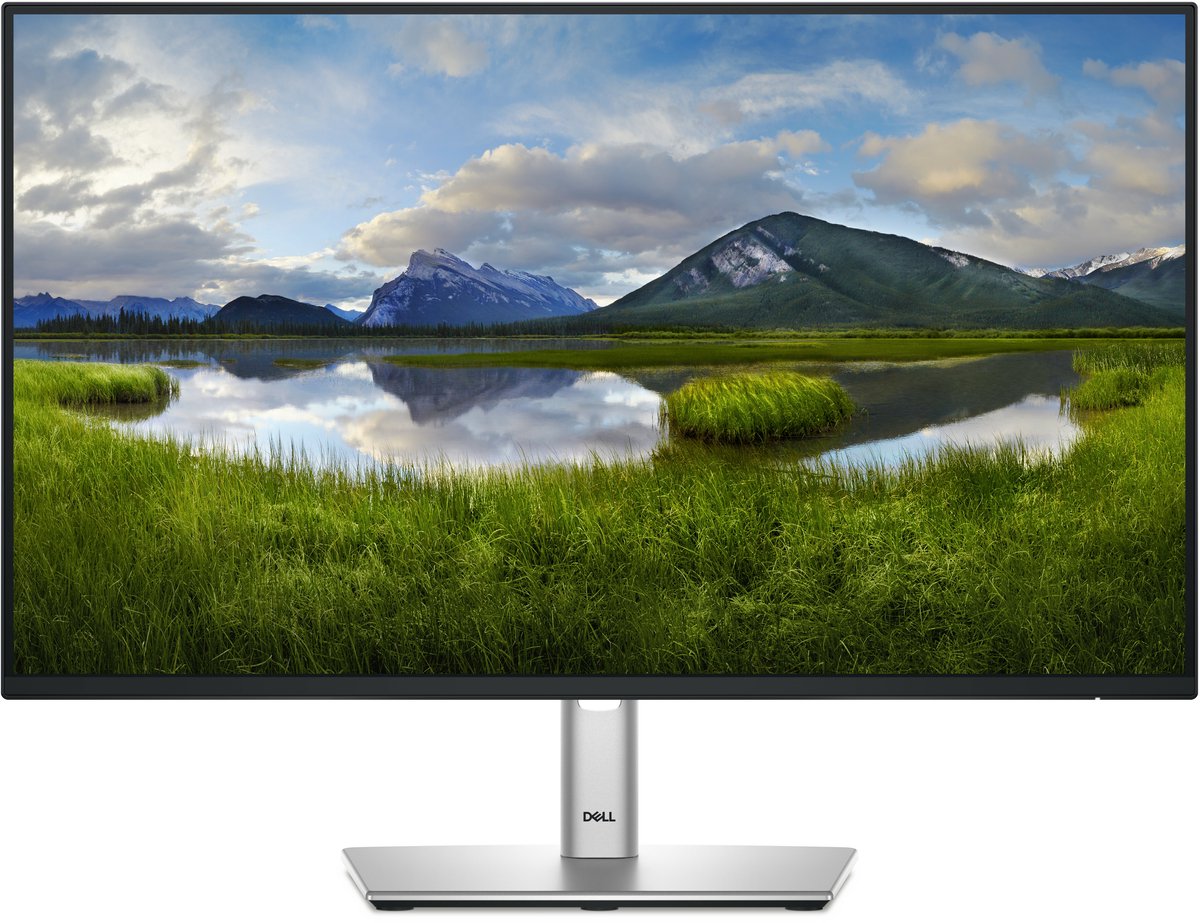 24" Dell P2425HE - 1920x1080 (FHD) - 100Hz - IPS - 90W USB-C