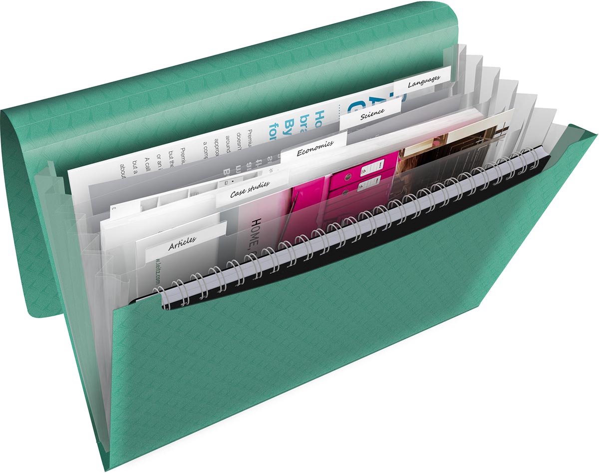 Esselte Colour'Breeze Expanding Concertina File Green